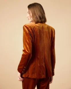 The Collared Double-breasted Velvet Blazer 10 The Collared Double-breasted Velvet Blazer -Deals Dress N Swimwear Store 0830