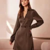 The Brown Shirt Collar Button Satin Mini Dress